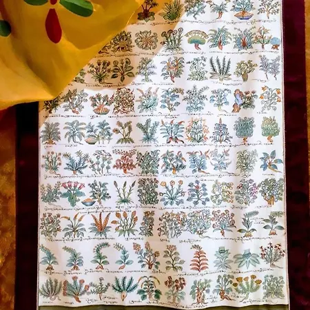 Oda ve Kahvaltı Saluzzo Paesana 1718 Torino